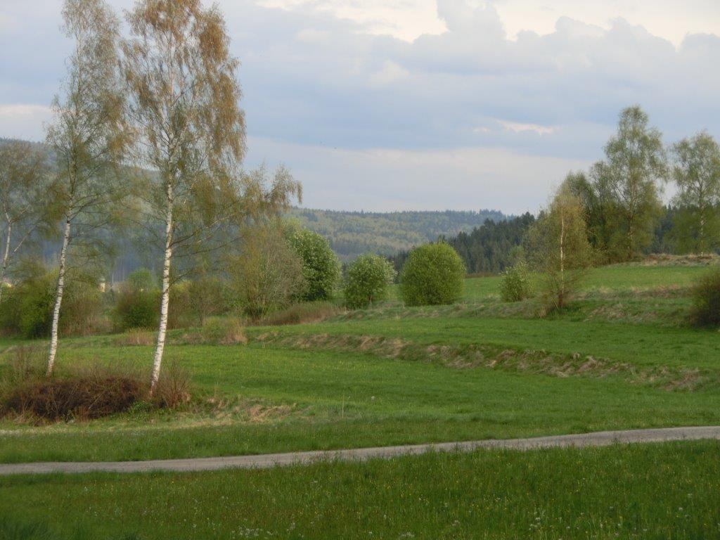 Pension Fohlenhof Frauenau Esterno foto