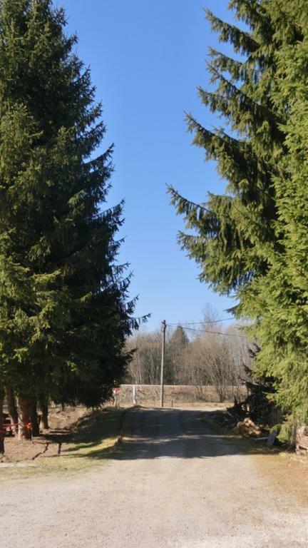 Pension Fohlenhof Frauenau Esterno foto