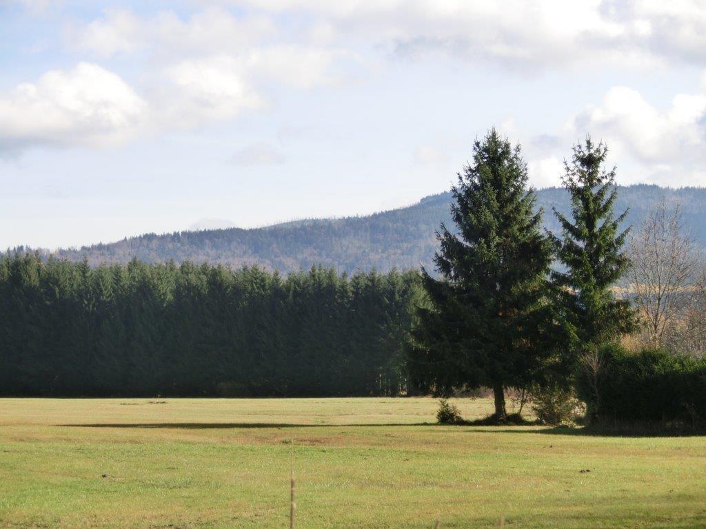 Pension Fohlenhof Frauenau Esterno foto